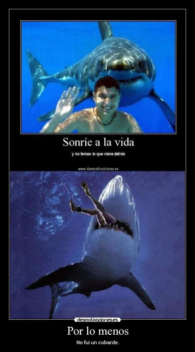 Por lo menos - No fui un cobarde.