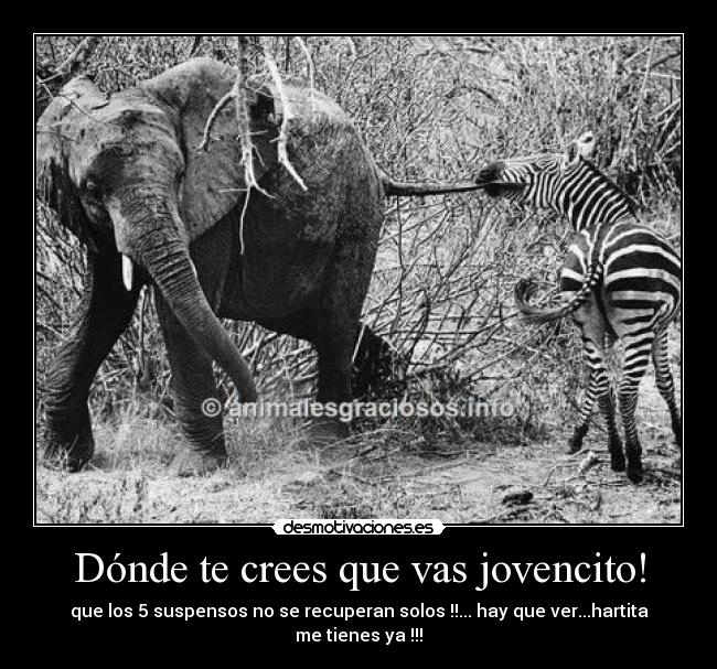 carteles dfgv desmotivaciones