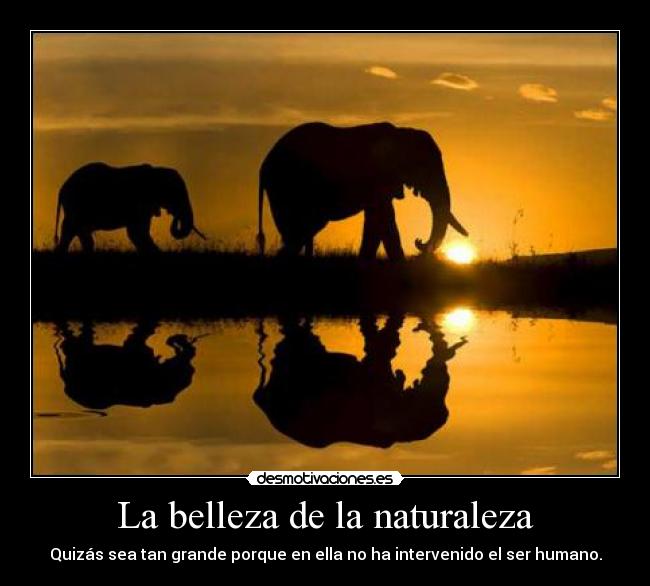 La belleza de la naturaleza -