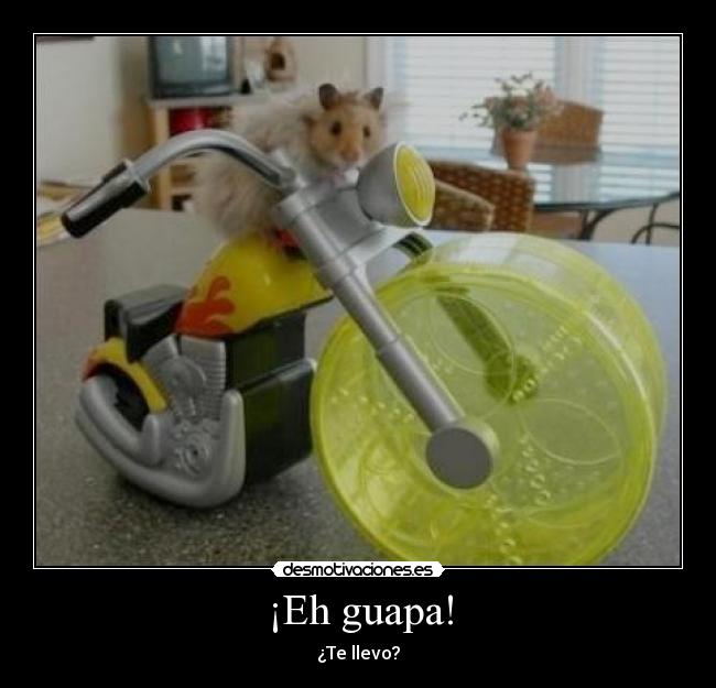 ¡Eh guapa! - 