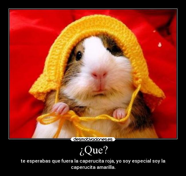 ¿Que? - 