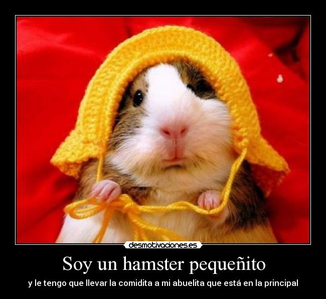Soy un hamster pequeñito -