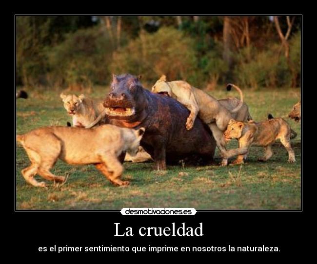 La crueldad -