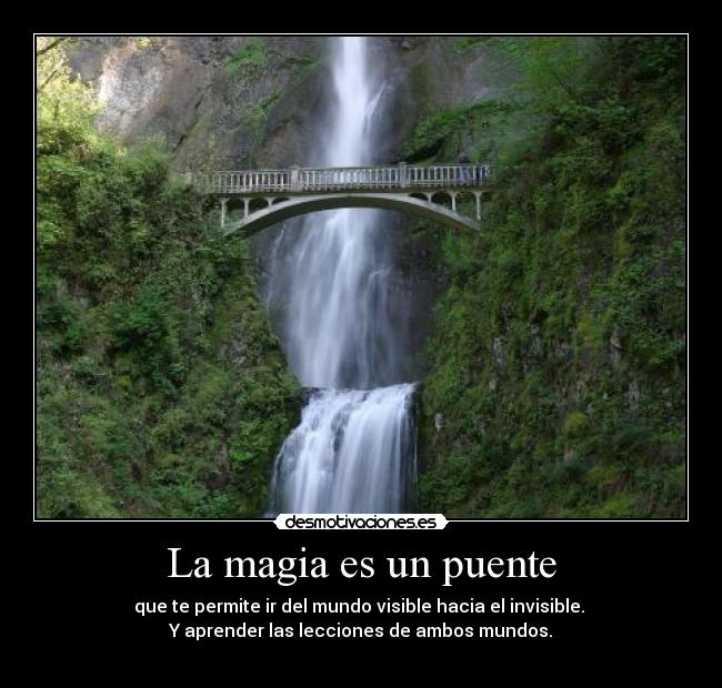 La magia es un puente - 