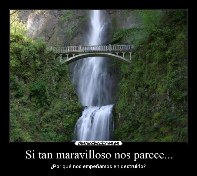 Si tan maravilloso nos parece... -