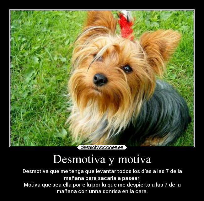 Desmotiva y motiva - 