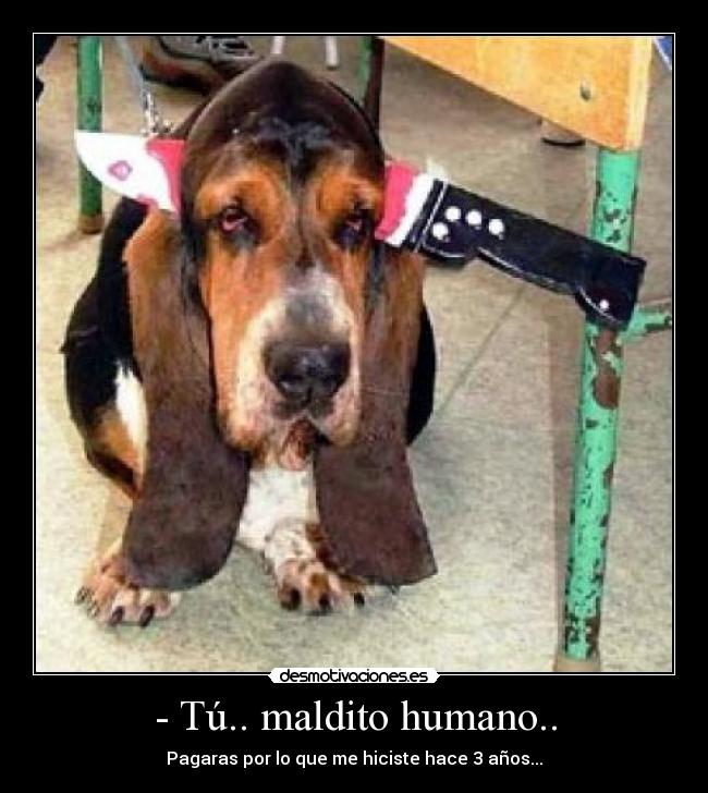 - Tú.. maldito humano.. - Pagaras por lo que me hiciste hace 3 años...