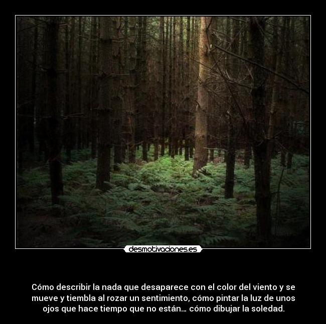   - Cómo describir la nada que desaparece con el color del viento y se
mueve y tiembla al rozar un sentimiento, cómo pintar la luz de unos
ojos que hace tiempo que no están… cómo dibujar la soledad.