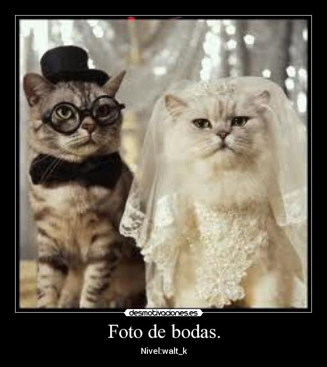 Foto de bodas. - 