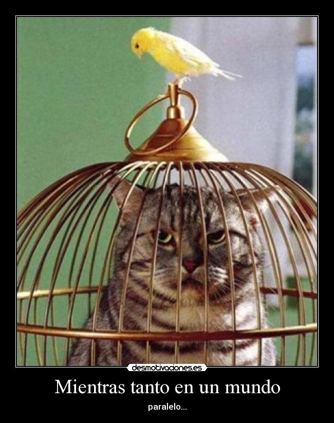 Mientras tanto en un mundo -