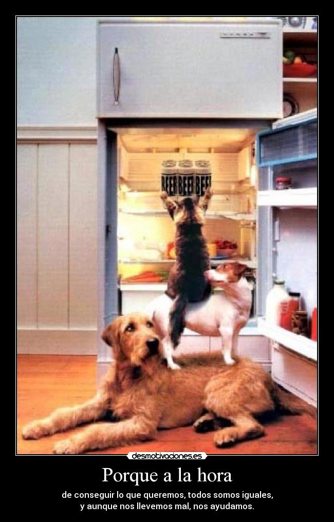 Porque a la hora - de conseguir lo que queremos, todos somos iguales,
y aunque nos llevemos mal, nos ayudamos.