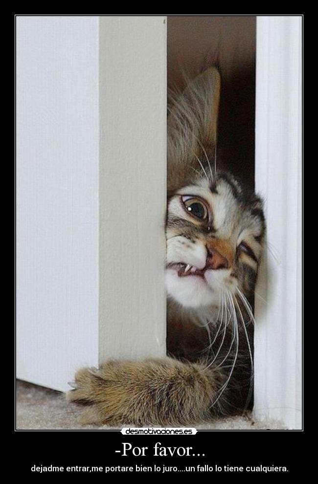 -Por favor... - dejadme entrar,me portare bien lo juro....un fallo lo tiene cualquiera.