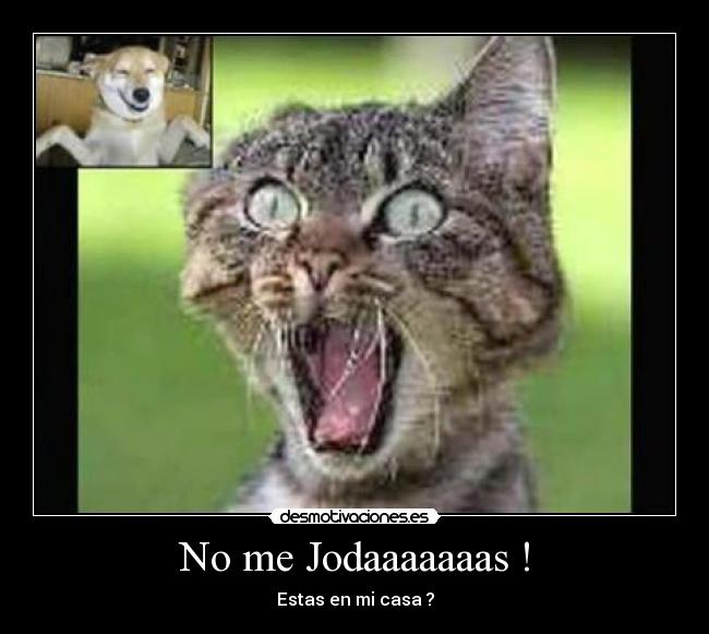 No me Jodaaaaaaas ! - 