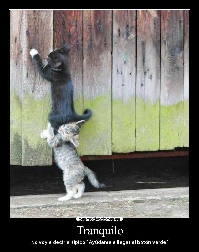 Tranquilo - No voy a decir el típico Ayúdame a llegar al botón verde