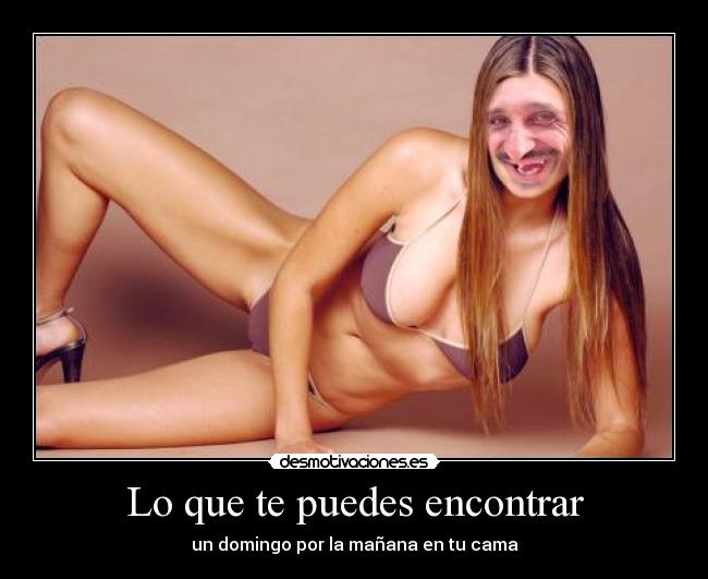 Lo que te puedes encontrar - un domingo por la mañana en tu cama