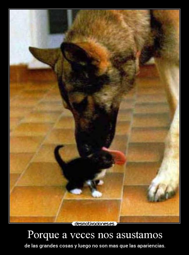 Porque a veces nos asustamos - 