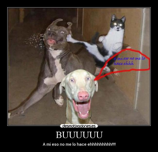 BUUUUUU - A mi eso no me lo hace ehhhhhhhhh!!!!