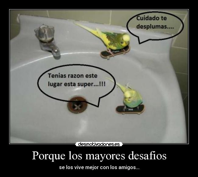 Porque los mayores desafios -
