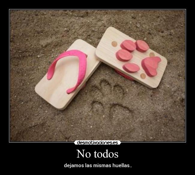 No todos - 