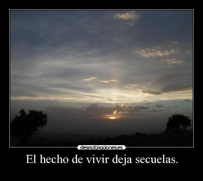 carteles bfdfgdfdf desmotivaciones