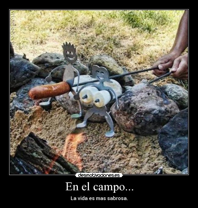 En el campo... - La vida es mas sabrosa.