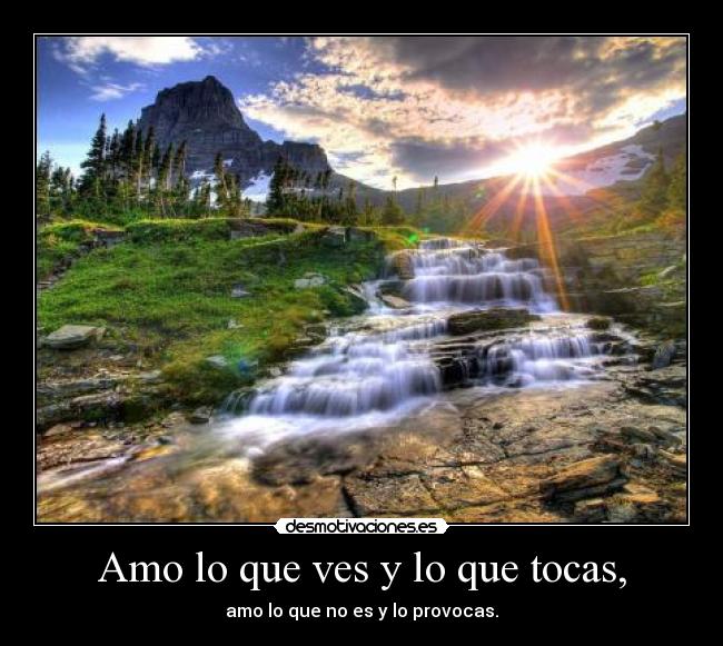 Amo lo que ves y lo que tocas, -