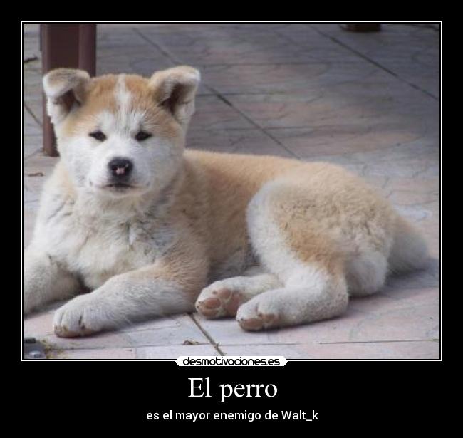 El perro - es el mayor enemigo de Walt_k