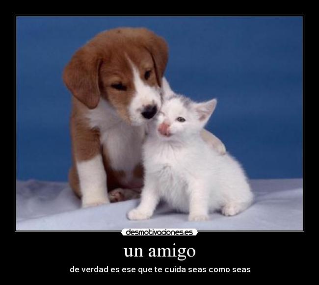 un amigo -