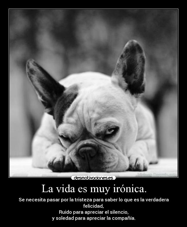 La vida es muy irónica. - Se necesita pasar por la tristeza para saber lo que es la verdadera felicidad,
Ruido para apreciar el silencio,
y soledad para apreciar la compañía.