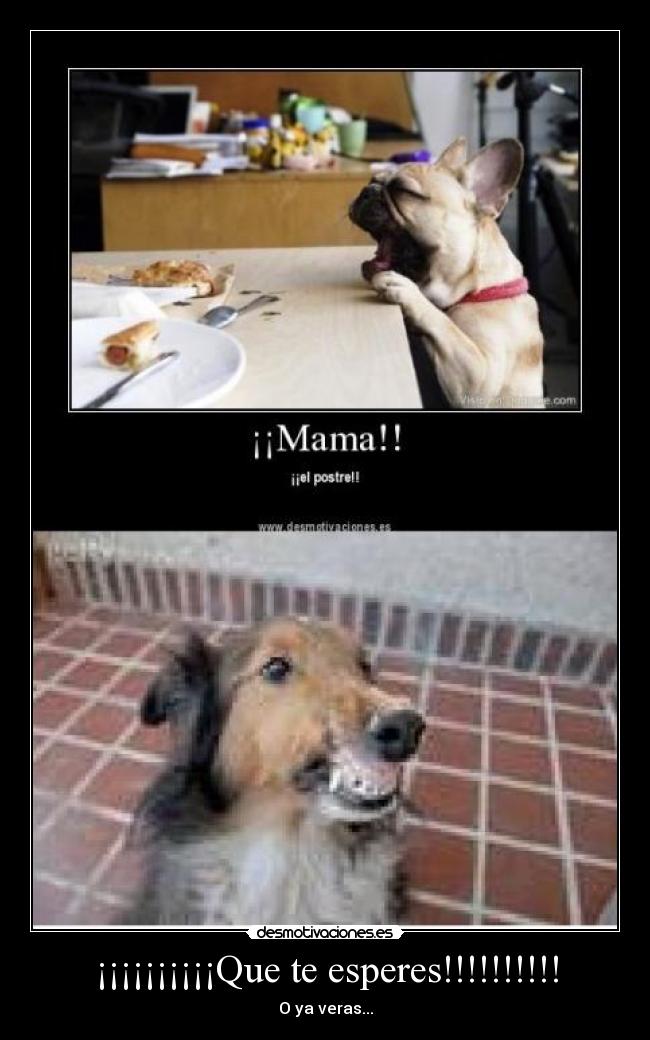 ¡¡¡¡¡¡¡¡¡¡Que te esperes!!!!!!!!!! - O ya veras...
