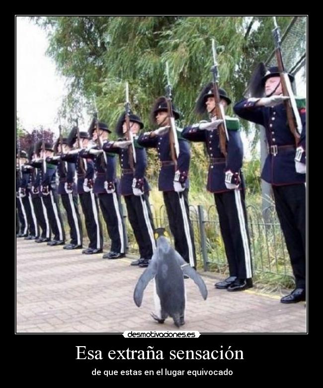 Esa extraña sensación -