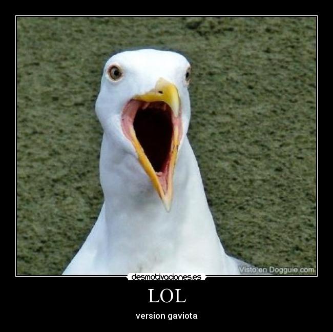 LOL - version gaviota