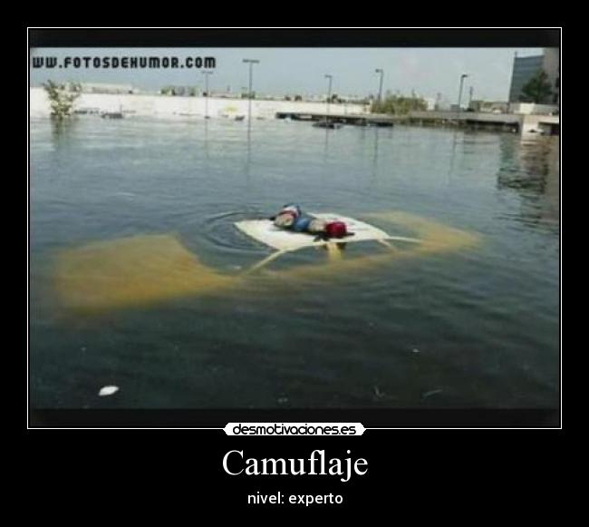Camuflaje - nivel: experto
