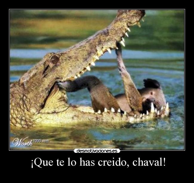 ¡Que te lo has creido, chaval! - 