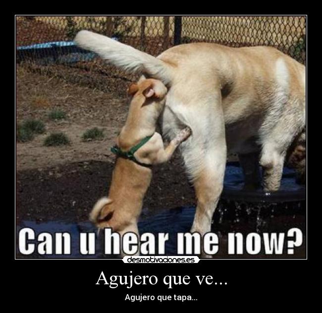 Agujero que ve... - Agujero que tapa...