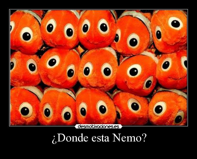 ¿Donde esta Nemo? -