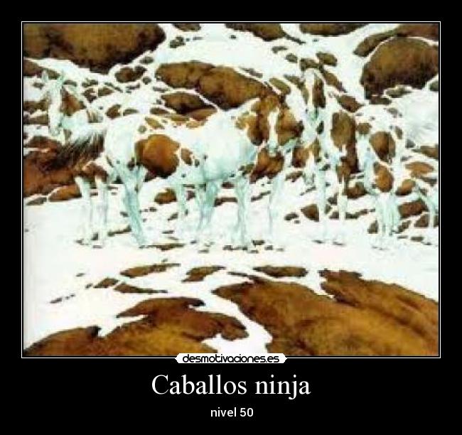 Caballos ninja - 