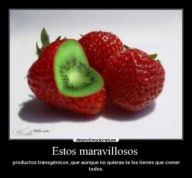 Estos maravillosos -