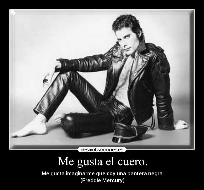 Me gusta el cuero. -  Me gusta imaginarme que soy una pantera negra.
(Freddie Mercury)