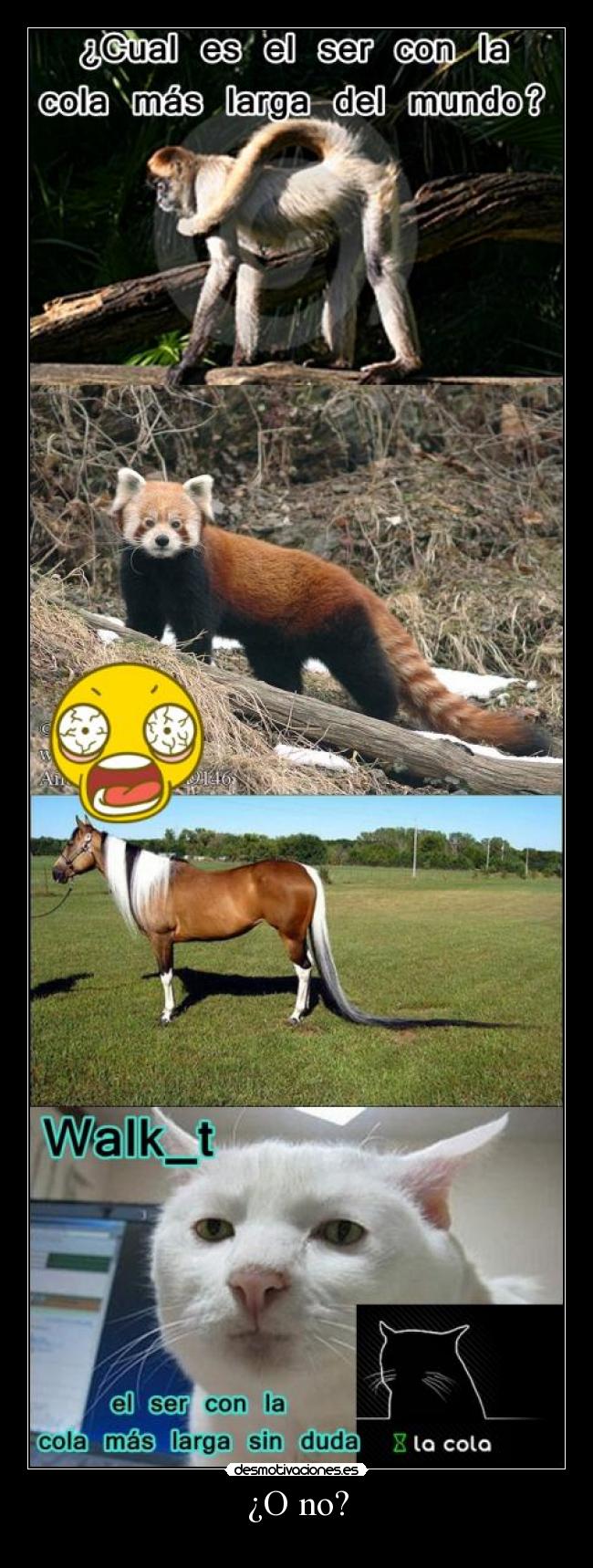 carteles patronatrix jonrebe90 ser con cola mas larga del mundo desmotivaciones