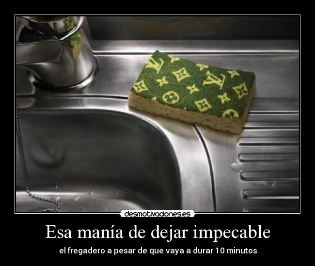 Esa manía de dejar impecable - el fregadero a pesar de que vaya a durar 10 minutos