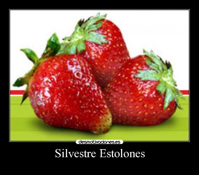 Silvestre Estolones - 