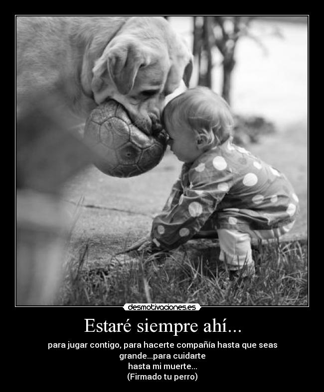 Estaré siempre ahí... - para jugar contigo, para hacerte compañía hasta que seas grande...para cuidarte
hasta mi muerte...
(Firmado tu perro)
