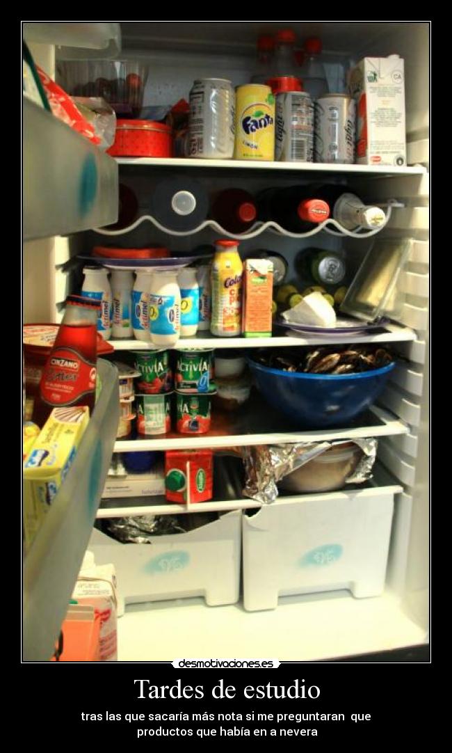 Tardes de estudio - tras las que sacaría más nota si me preguntaran que
productos que había en a nevera