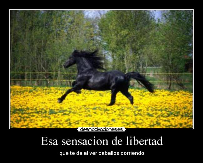 carteles libertad esa sensacion libertad desmotivaciones