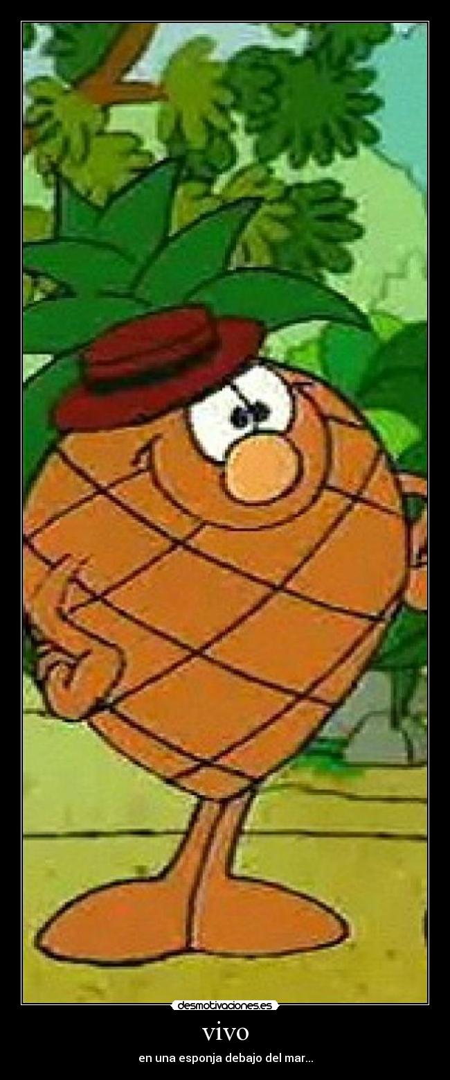 vivo - en una esponja debajo del mar...
