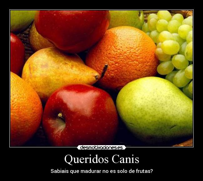 Queridos Canis - Sabiais que madurar no es solo de frutas?