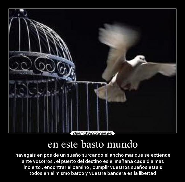 en este basto mundo - navegais en pos de un sueño surcando el ancho mar que se extiende
ante vosotros , el puerto del destino es el mañana cada dia mas
incierto , encontrar el camino , cumplir vuestros sueños estais
todos en el mismo barco y vuestra bandera es la libertad