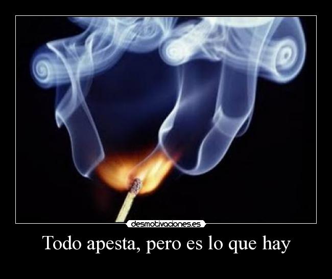 Todo apesta, pero es lo que hay - 