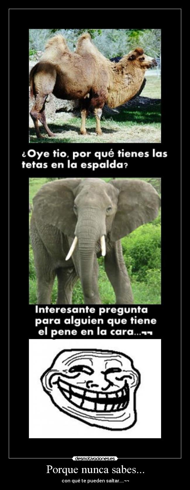 Porque nunca sabes... -